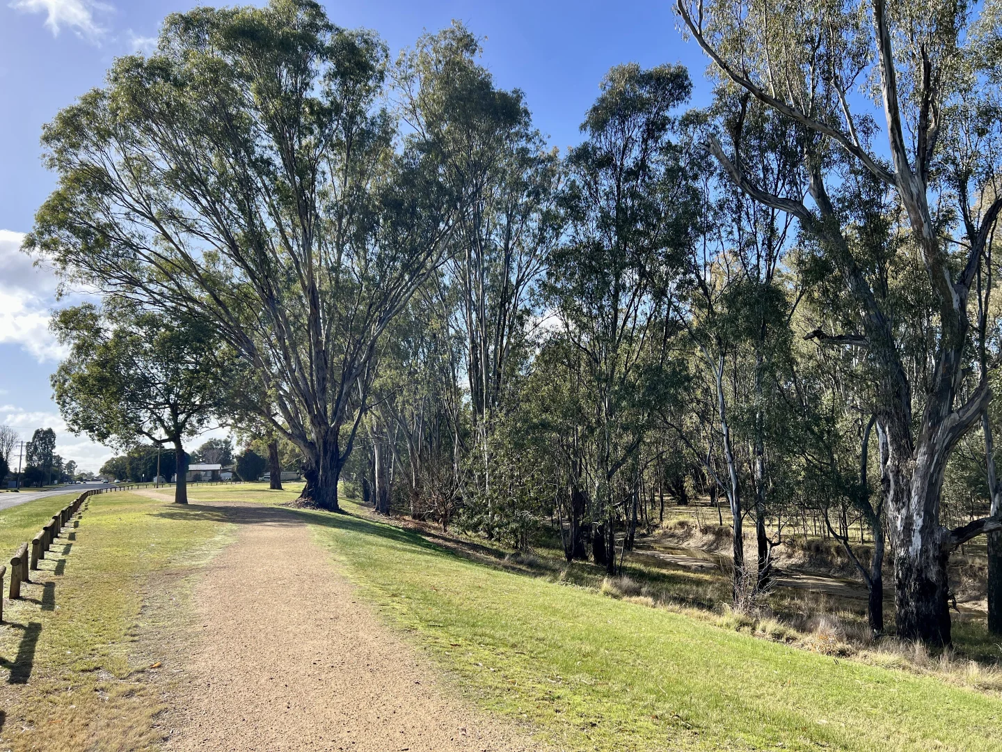 Additional image 21 of 8 Collie St, Barooga NSW 3644