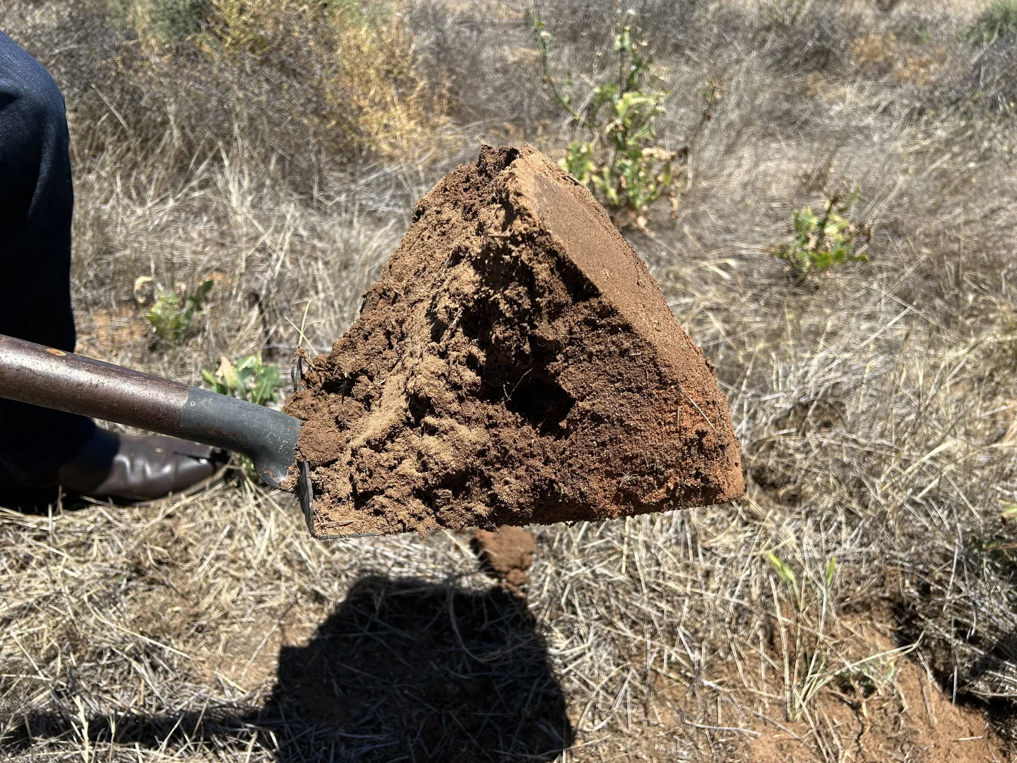 Additional image 2 of 8689 Browns Well Highway, Pinnaroo SA 5304