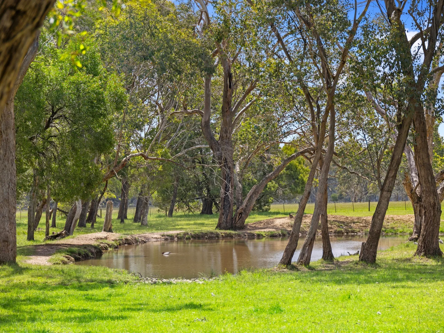 Additional image 5 of 2339 Maroondah Highway, Buxton VIC 3711