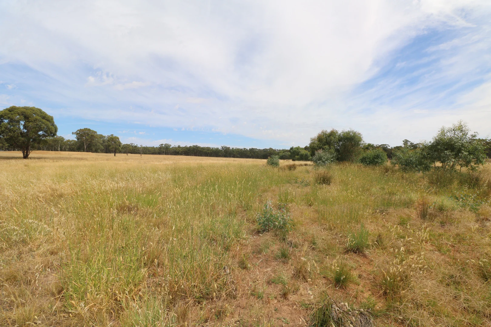 Additional image 8 of 1 Calder Highway, Wedderburn VIC 3518