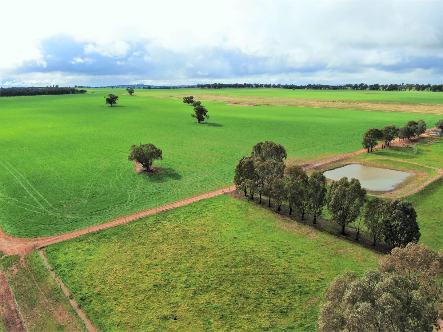 Additional image 5 of 2648 Old Narrandera Road, Currawarna NSW 2650