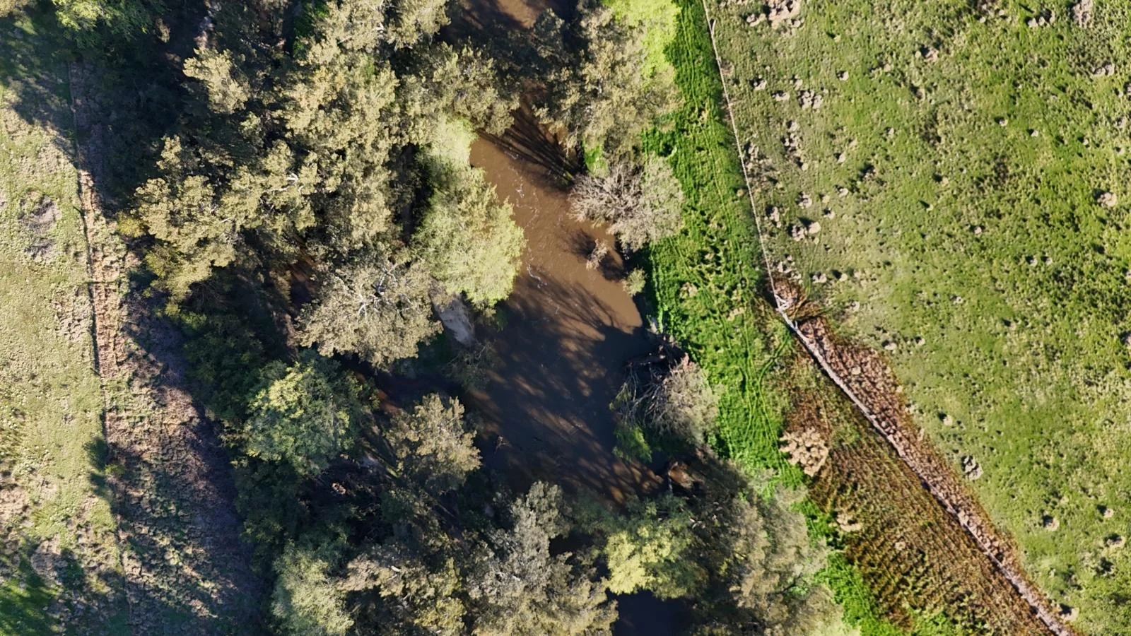 Additional image 31 of "Bonna"  1 Haidee Street, Bendemeer NSW 2355