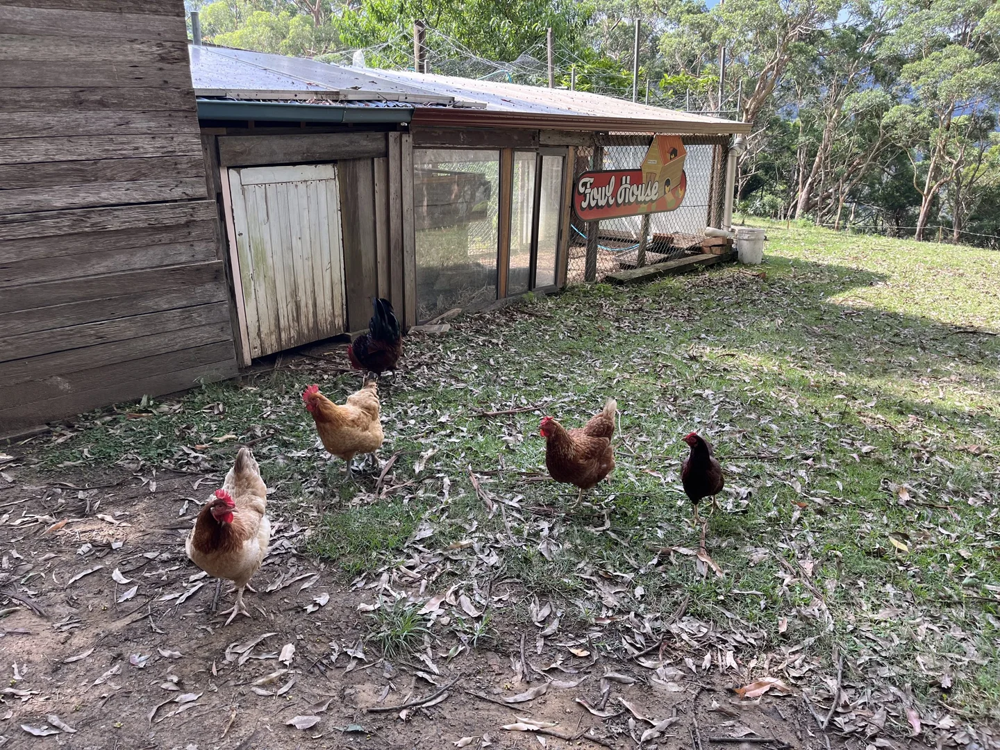 Additional image 15 of 565 Cordeaux Road, Mount Kembla NSW 2526