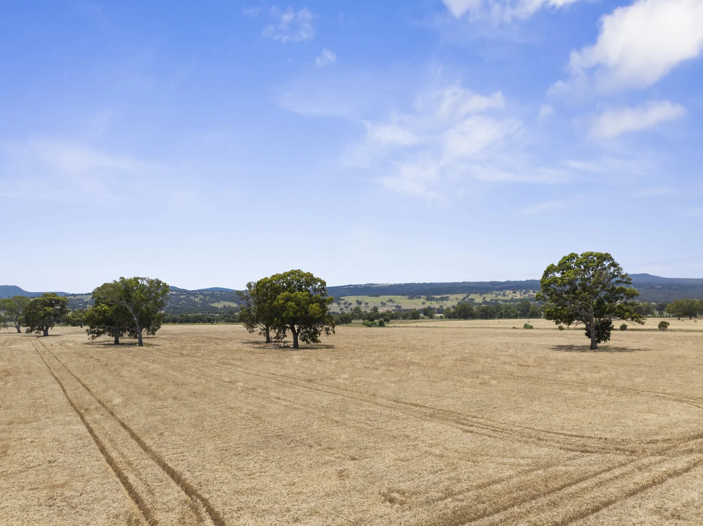 Additional image 9 of 1522 Long Lane, Barwite VIC 3722