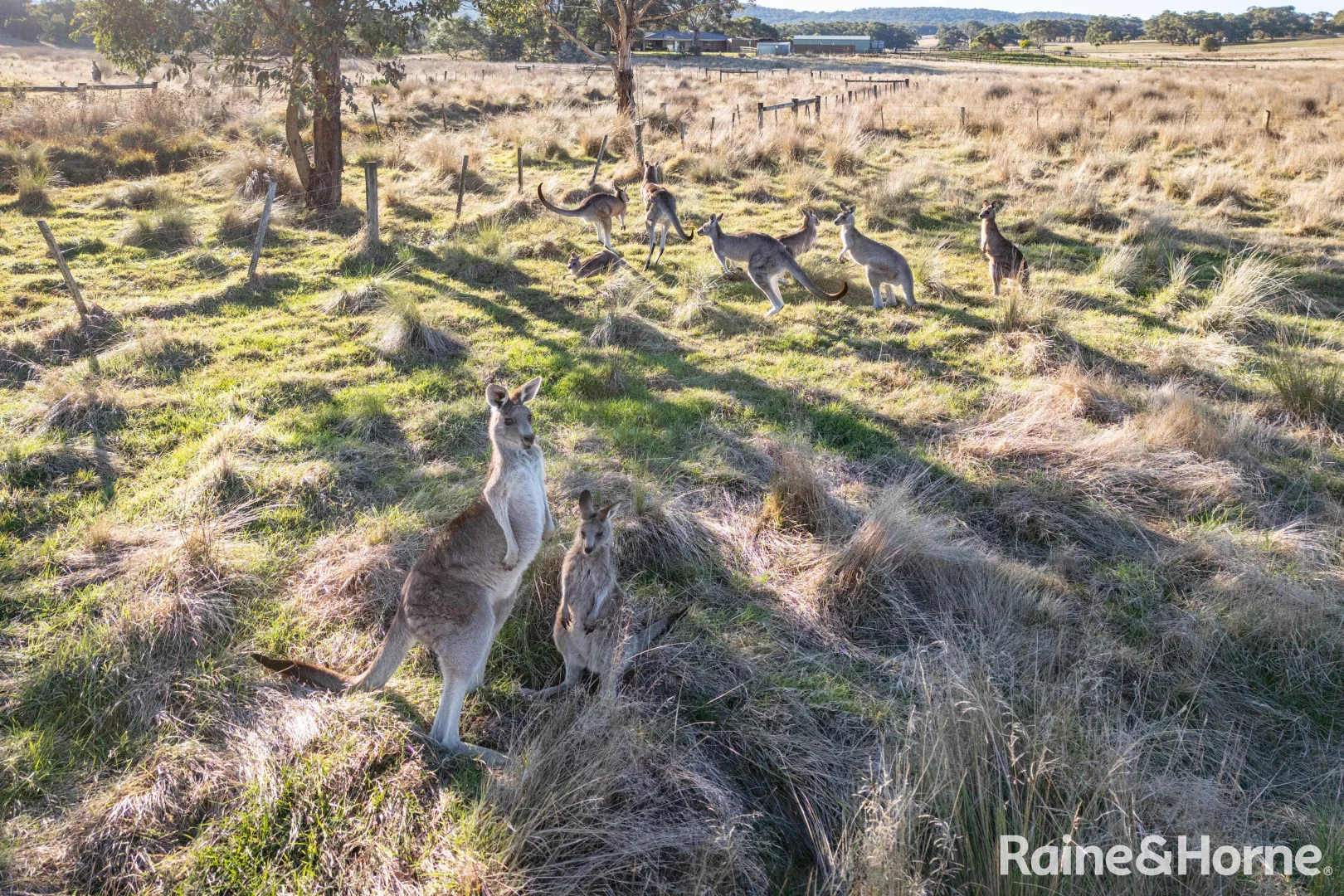 Additional image 9 of 8 Lancefield-Tooborac Road, Lancefield VIC 3435
