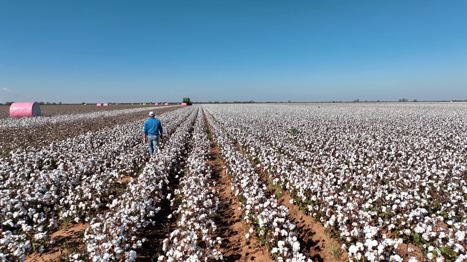 Additional image 16 of "Waringah" Mabins Well Road, Conargo NSW 2710