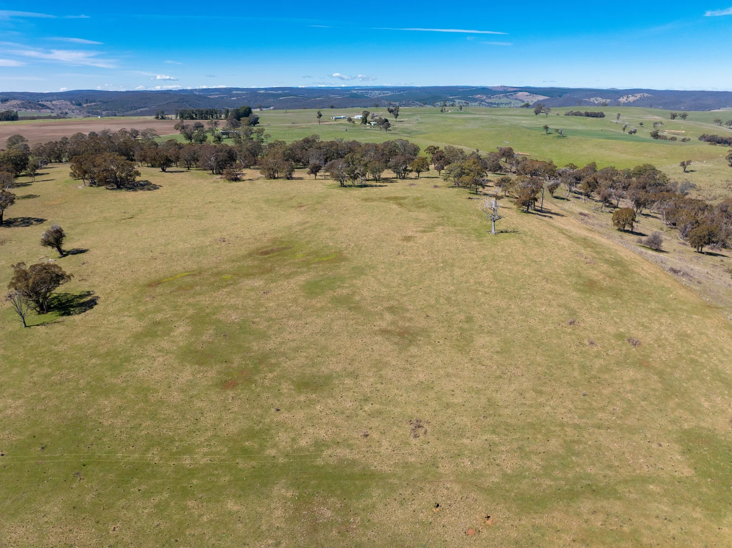 Additional image 31 of 5353 Trunkey Road, Trunkey Creek NSW 2795