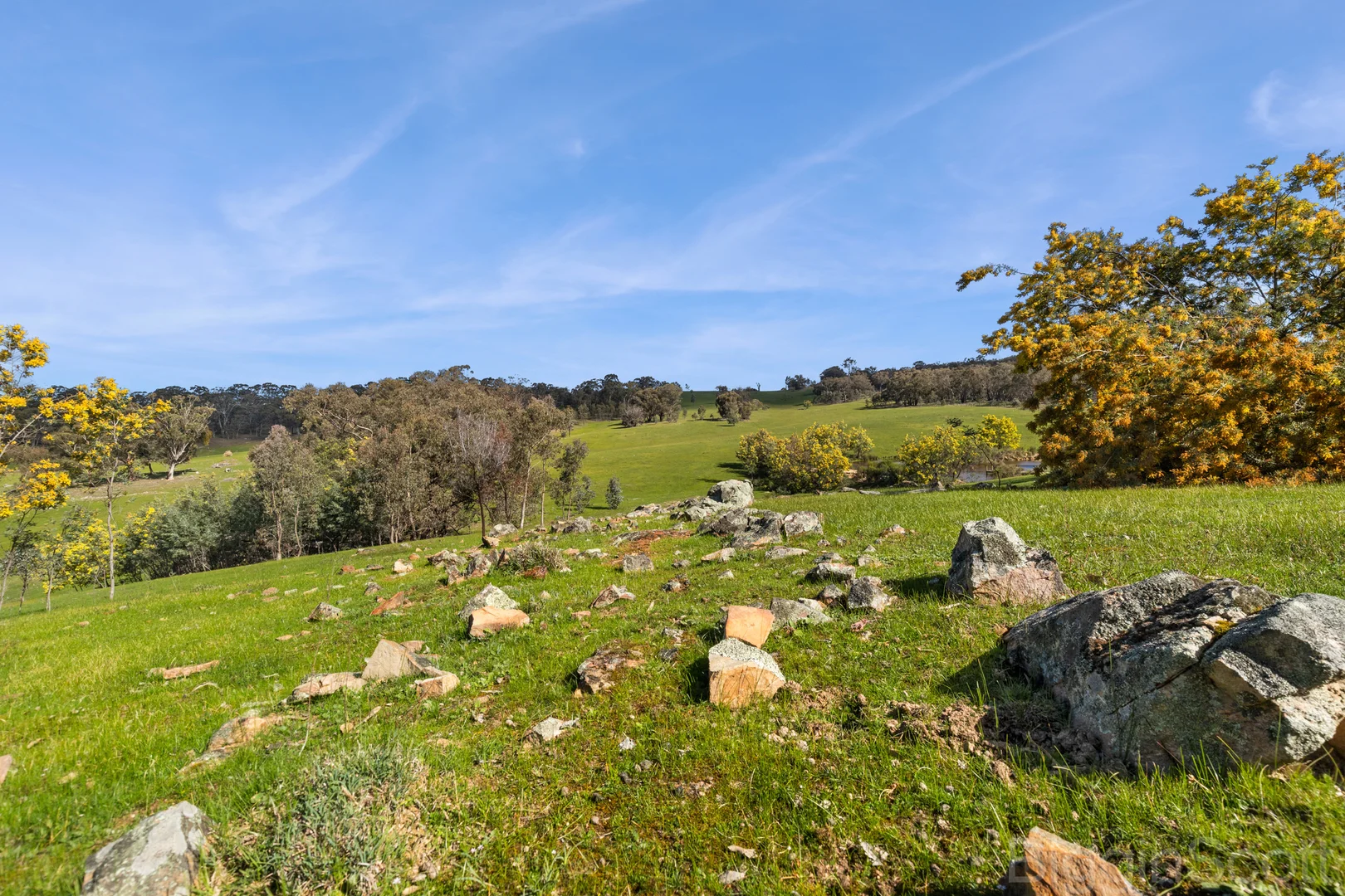 Additional image 14 of 595 Providence Gully Road, Yandoit Hills VIC 3461