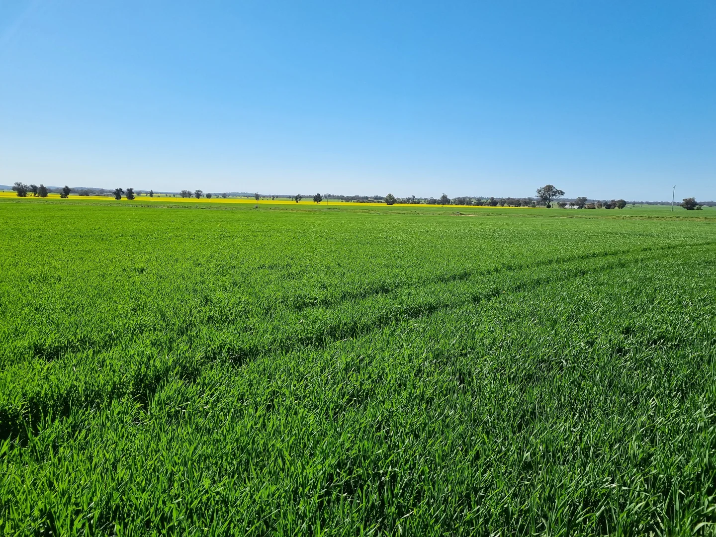 Additional image 8 of 'Craignish' 847 Mirrool South Road, Beckom NSW 2665