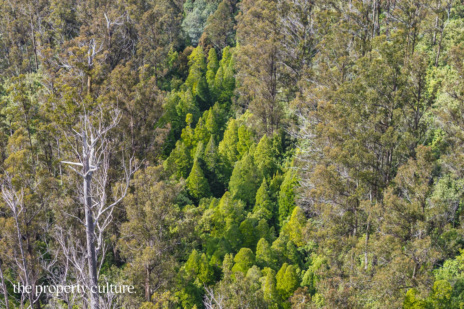 Additional image 11 of 1, 2 & 3 Bakers Creek Rd, Lucaston TAS 7109