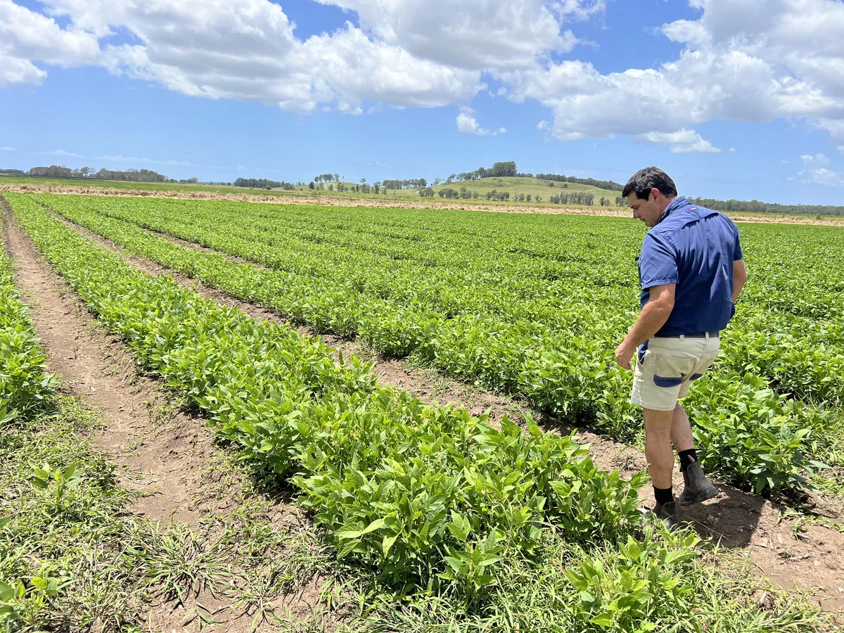 Additional image 12 of 360 Bungawalbin Whiporie Road, Bungawalbin NSW 2469