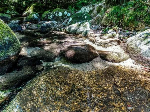 Additional image 36 of 176 Healy Road, Mirriwinni QLD 4871