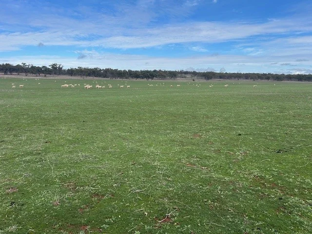 Additional image 7 of 418 Donaldsons Road, Corbie Hill NSW 2705