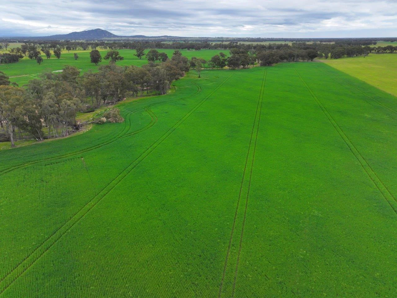 Additional image 12 of -- Brenanah-Kurting Road, Kurting VIC 3517