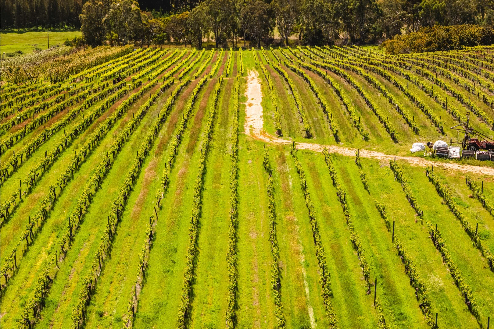 Additional image 6 of 207 Sand Road, McLaren Flat SA 5171