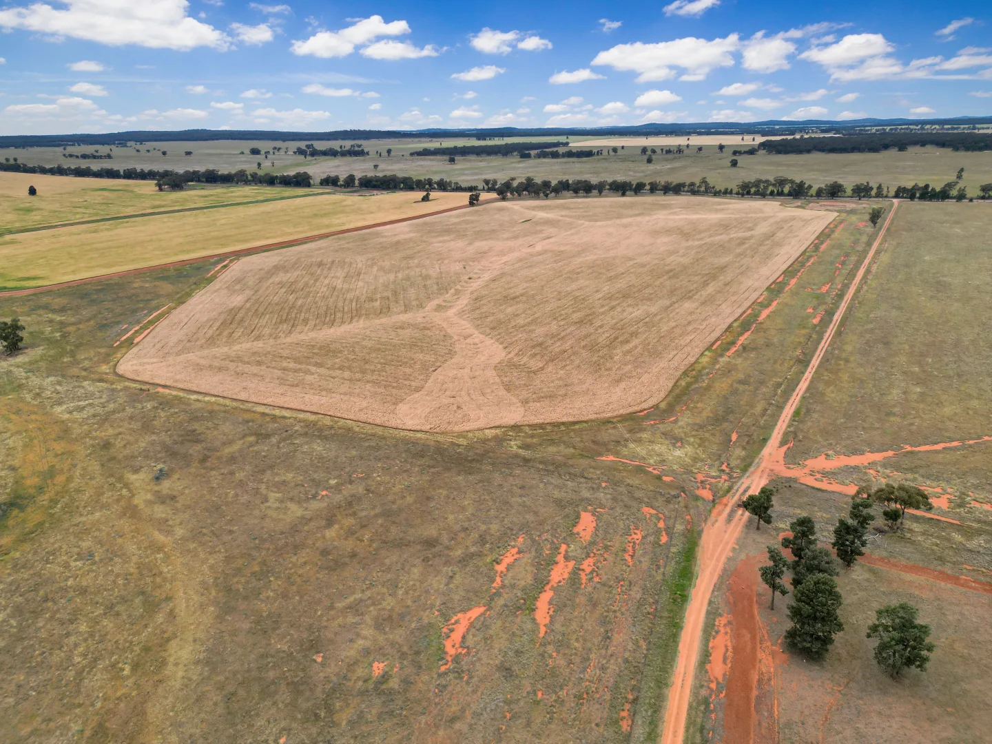 Additional image 6 of 'Werona' 904 North Yalgogrin Road, Tallimba NSW 2669