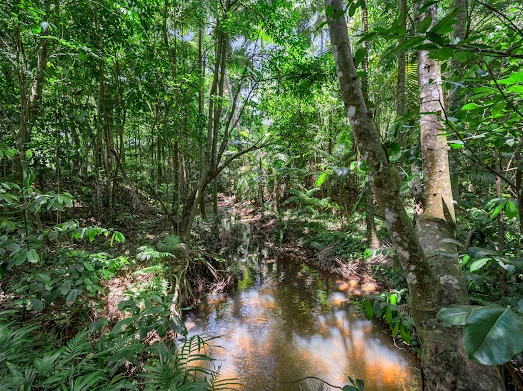 Additional image 4 of 582 Bingil Bay Road, Bingil Bay QLD 4852