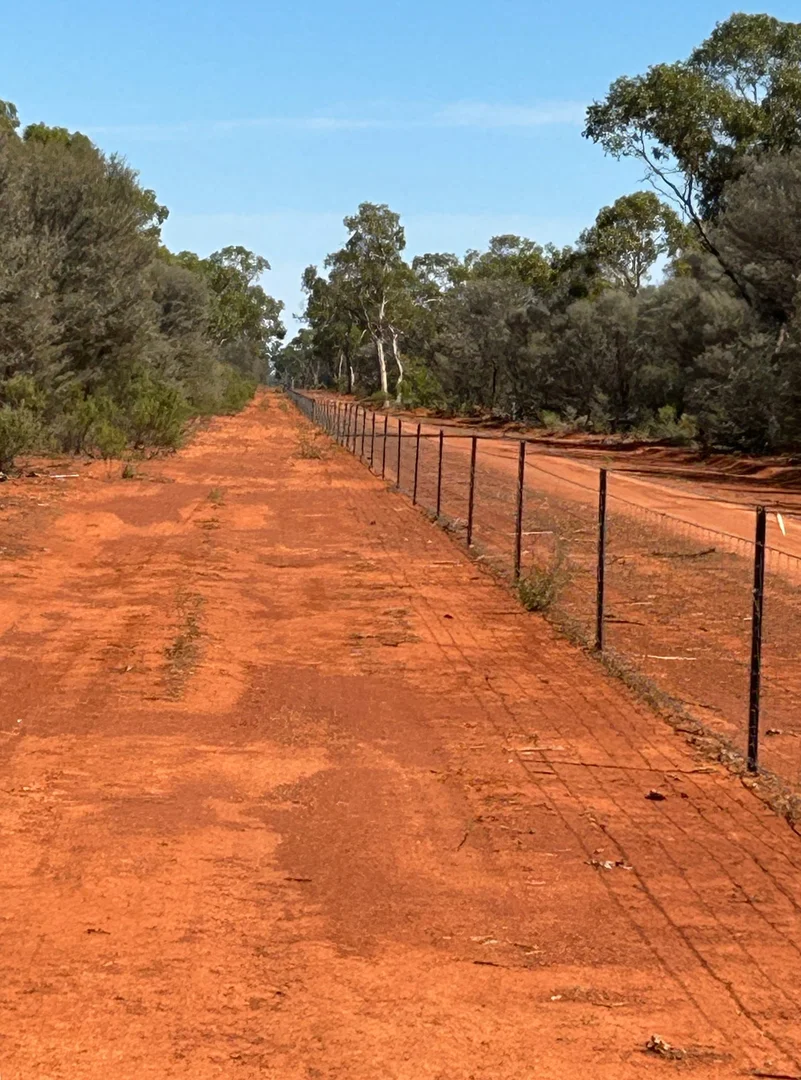 Additional image 6 of 1 Ben Lomond Road, Gunderbooka NSW 2840