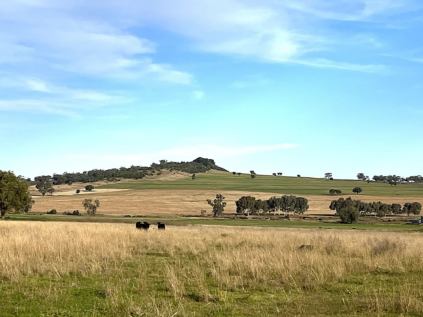 Additional image 2 of "Thirlmere" 450 Bridges Road, Gunnedah NSW 2380