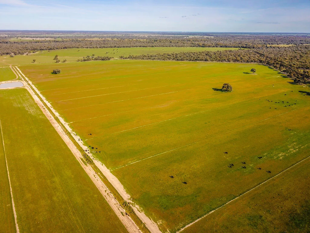 Additional image 16 of 'Wetuppa' 245 Fisher Lane, Wetuppa NSW 2734