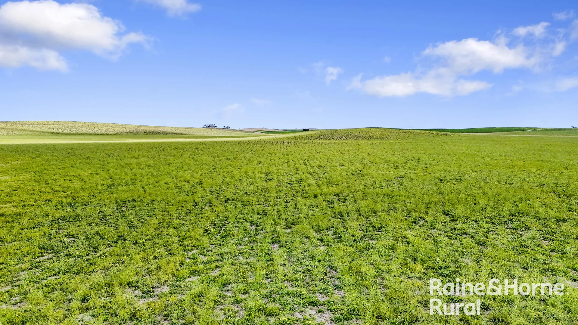 Additional image 12 of 4910 Mallee Highway, Peake SA 5301