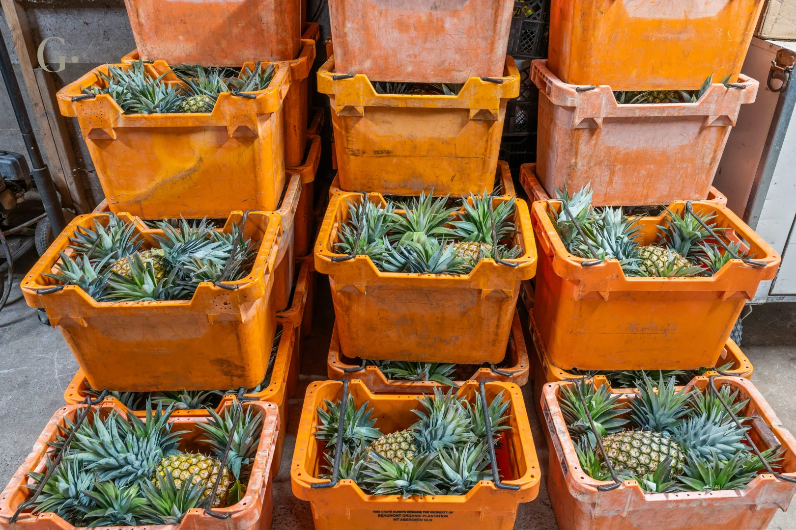 Additional image 29 of 1207 Kandanga Creek Road, Upper Kandanga QLD 4570