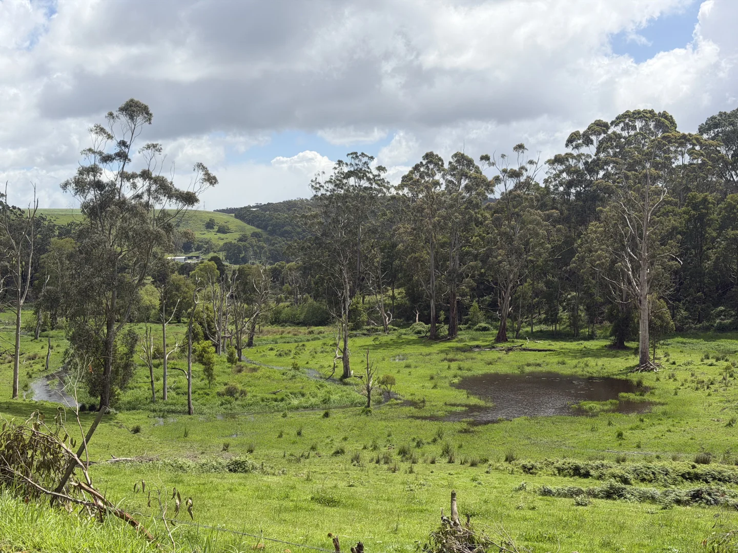 Additional image 5 of 4157 Lavers Hill Cobden Road, Chapple Vale VIC 3239