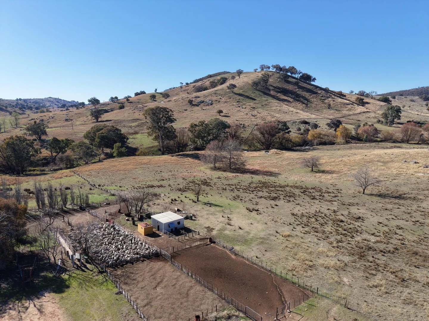 Additional image 10 of 333 Mount Darling Road, Reids Flat NSW 2586