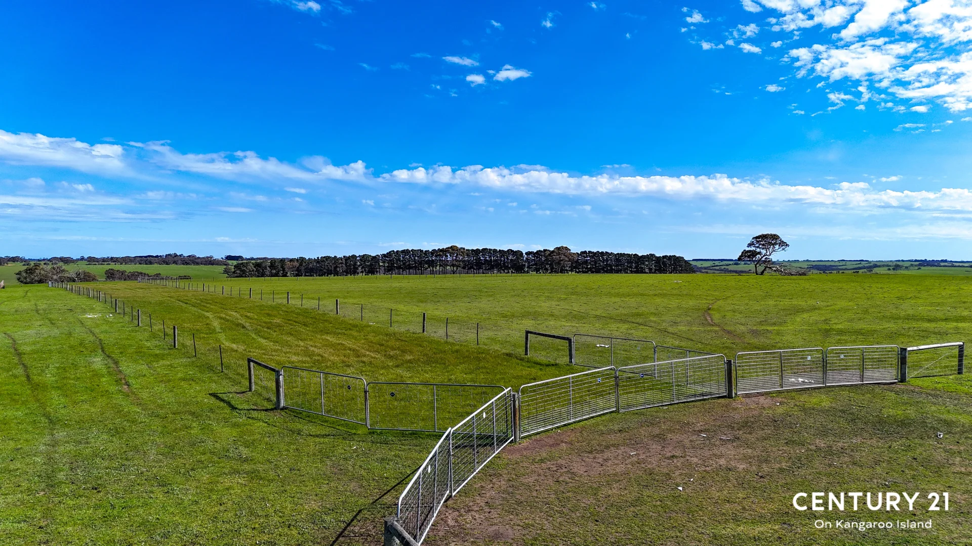 Additional image 5 of 2265 Playford Highway, Kohinoor SA 5223