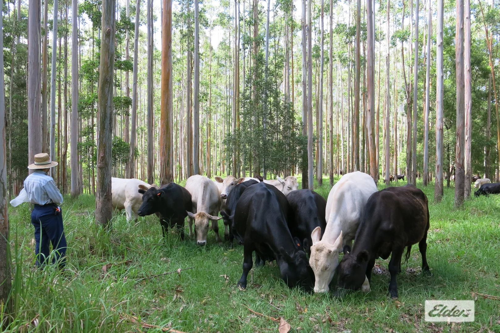Additional image 36 of 354 Kunghur Creek Road, Kunghur Creek NSW 2484