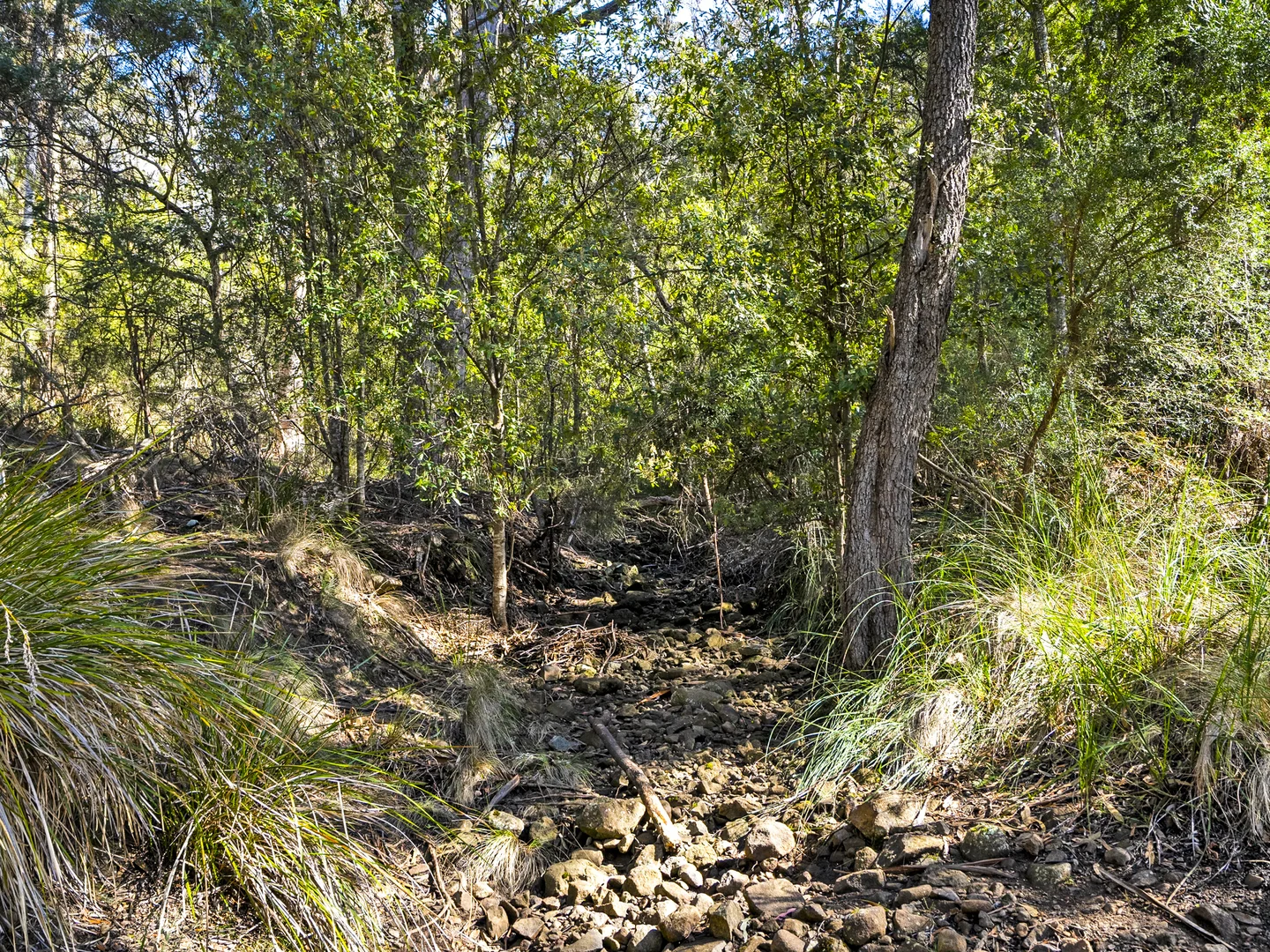 Additional image 12 of 196 Alma Road, Orford TAS 7190