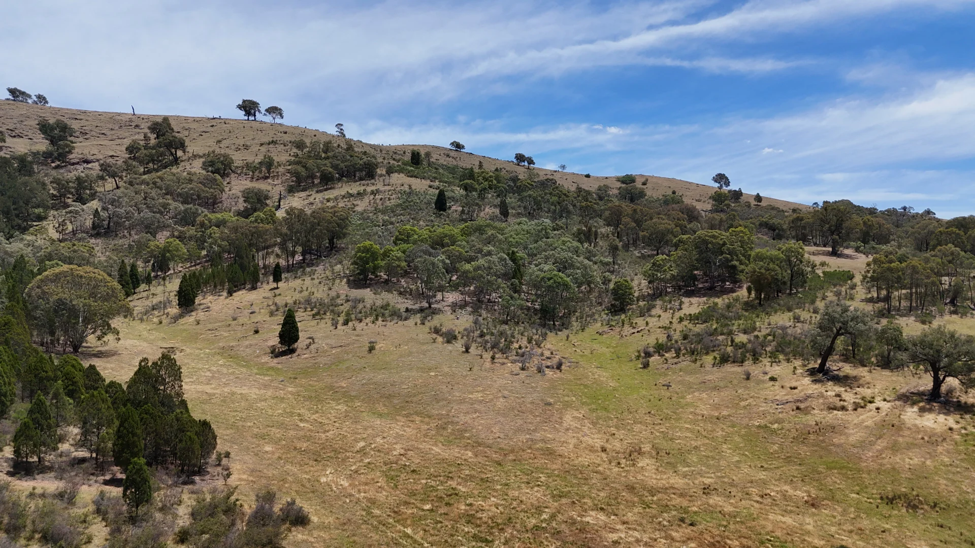 Additional image 19 of 222 Battery Crossing Road, Reids Flat NSW 2586