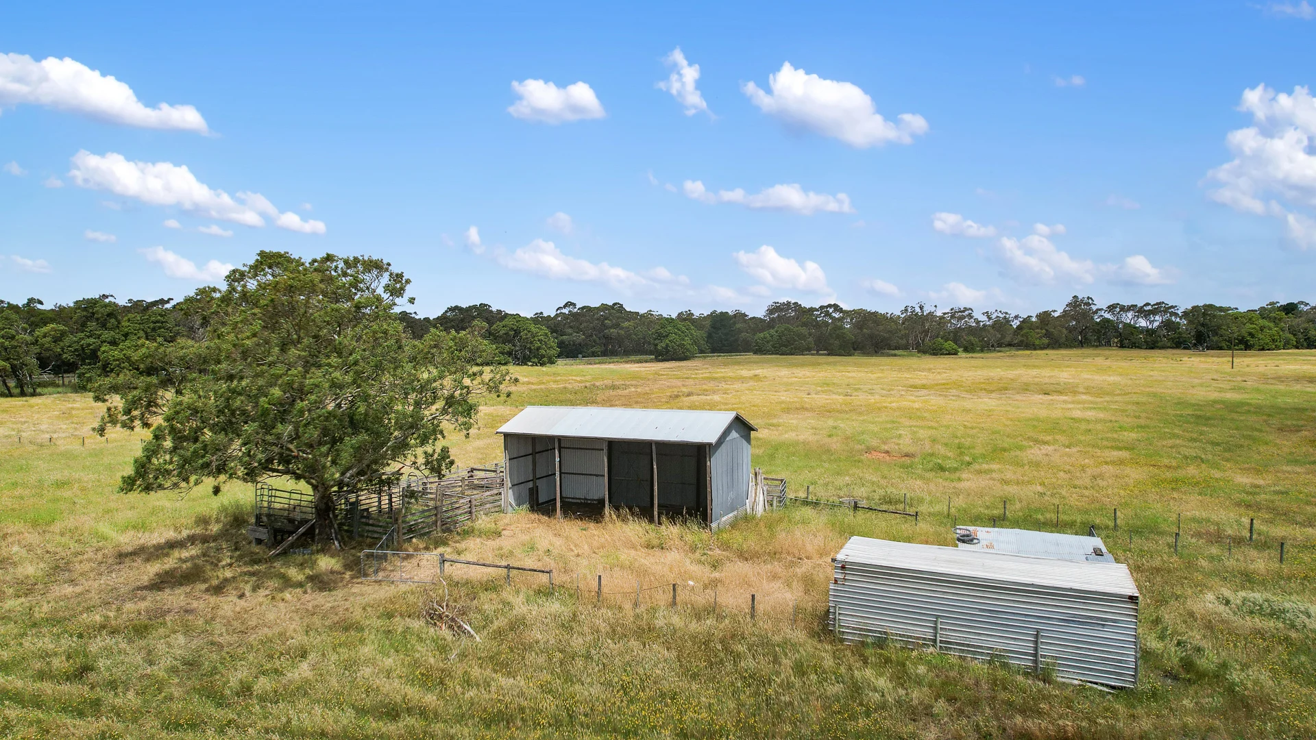 Additional image 8 of Lot 459 Riddoch Hwy, Dismal Swamp SA 5291