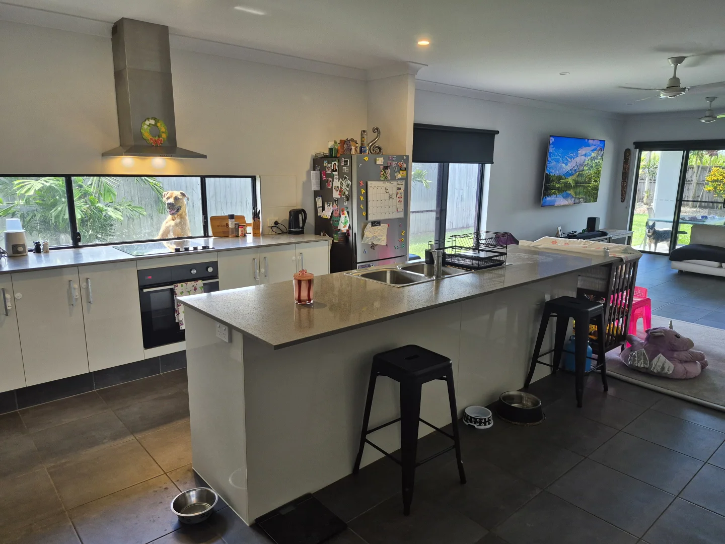 Additional image 4 of 55 Barrbal Drive, Bonnie Doon QLD 4873