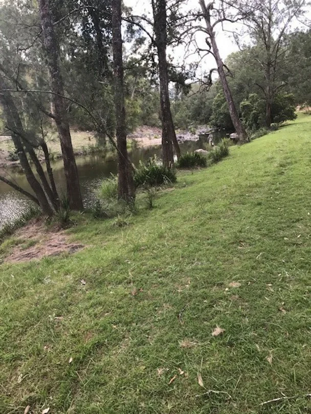 Additional image 8 of Lot 24 209 Tobins River Road, Mount Seaview NSW 2446