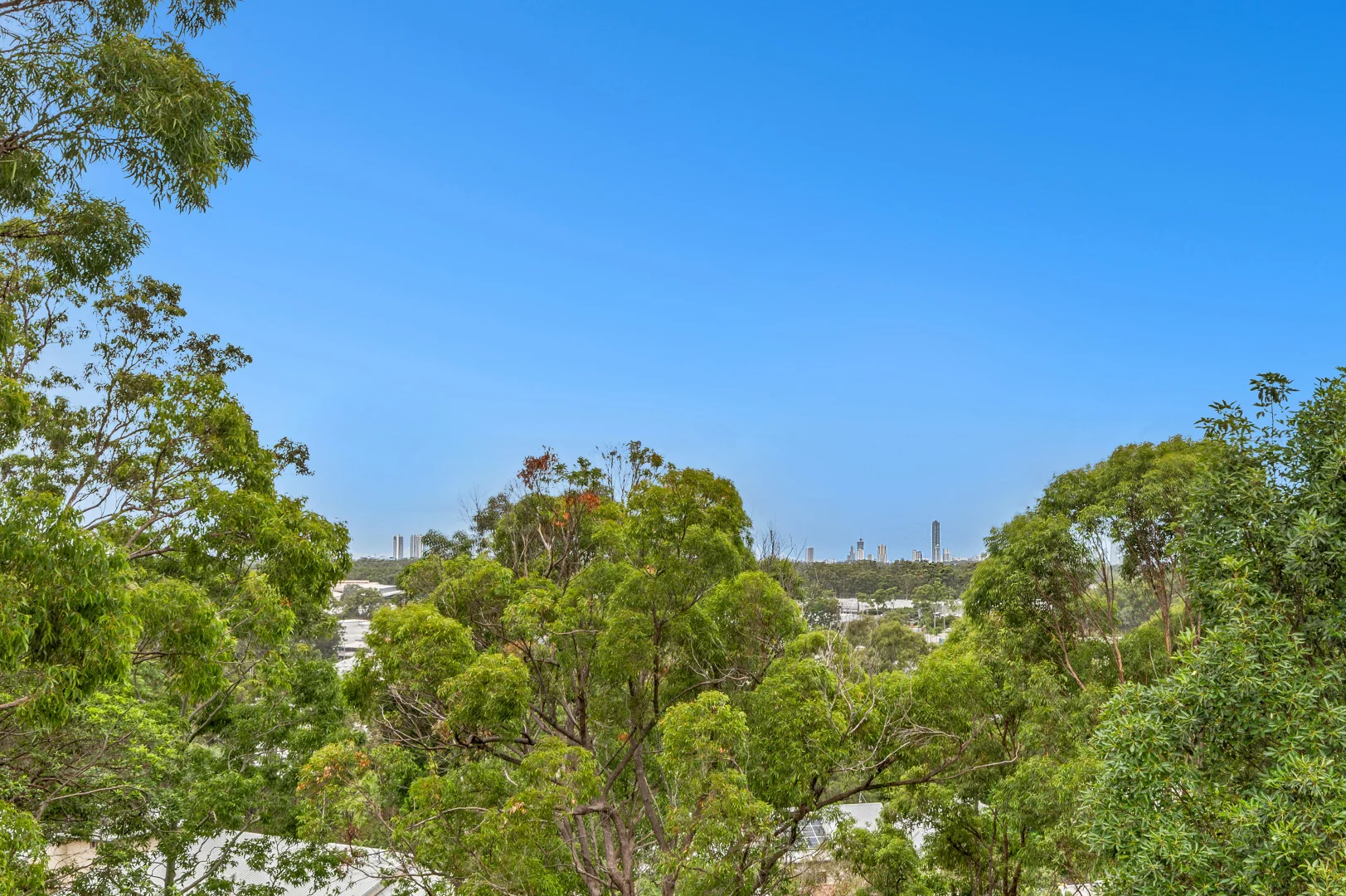 Additional image 6 of 775 Ashmore Road, Molendinar QLD 4214