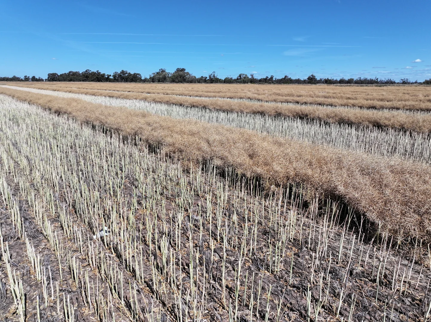 Additional image 15 of 819 Mayrung Road, Deniliquin NSW 2710