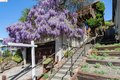 Additional image 5 of 249 Trinity Ave, Kensington, CA, 94708