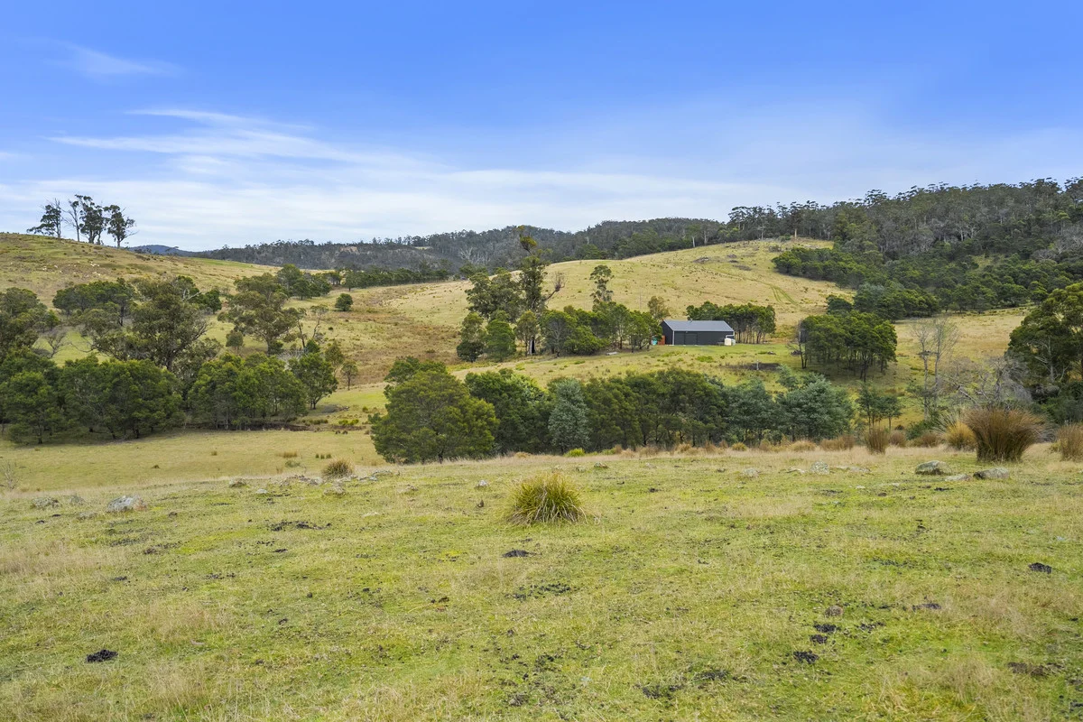 Additional image 21 of 1 & 2 Bresnehans Road, Little Swanport TAS 7190