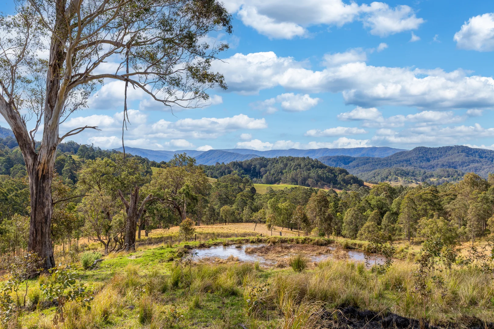 Additional image 10 of Lots/34 & 158 Salisbury Road, Dungog NSW 2420