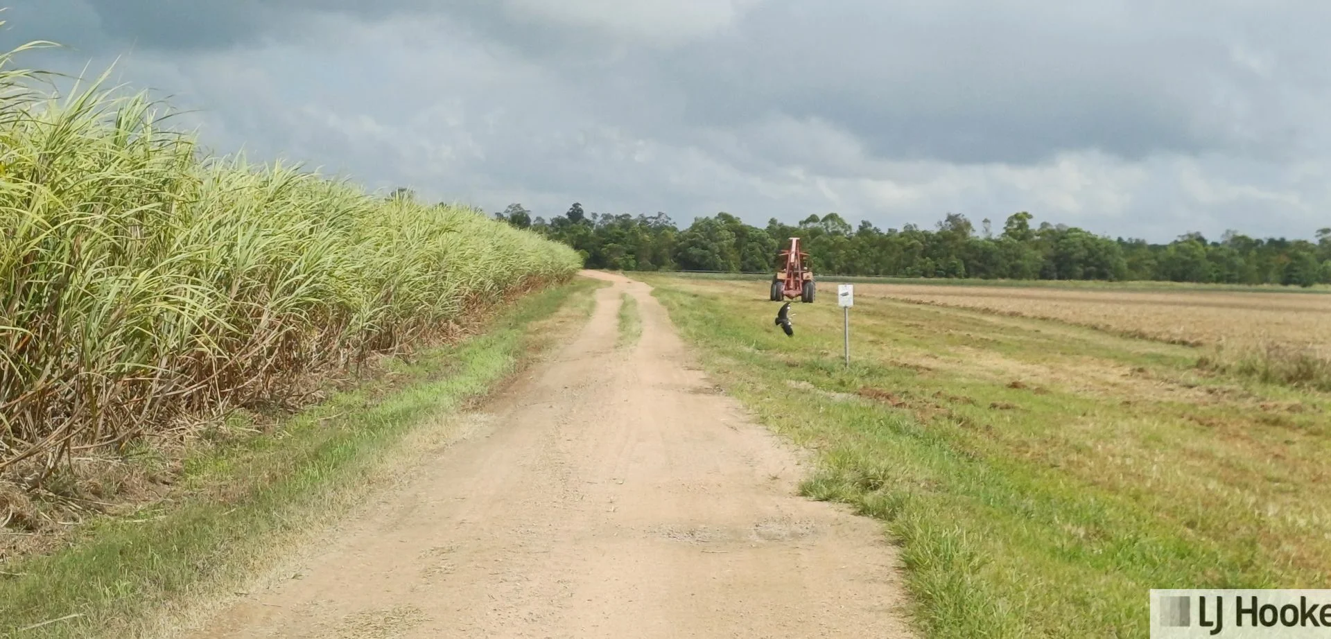 Additional image 4 of Lot 1 Jack Evans Drive, Silky Oak QLD 4854