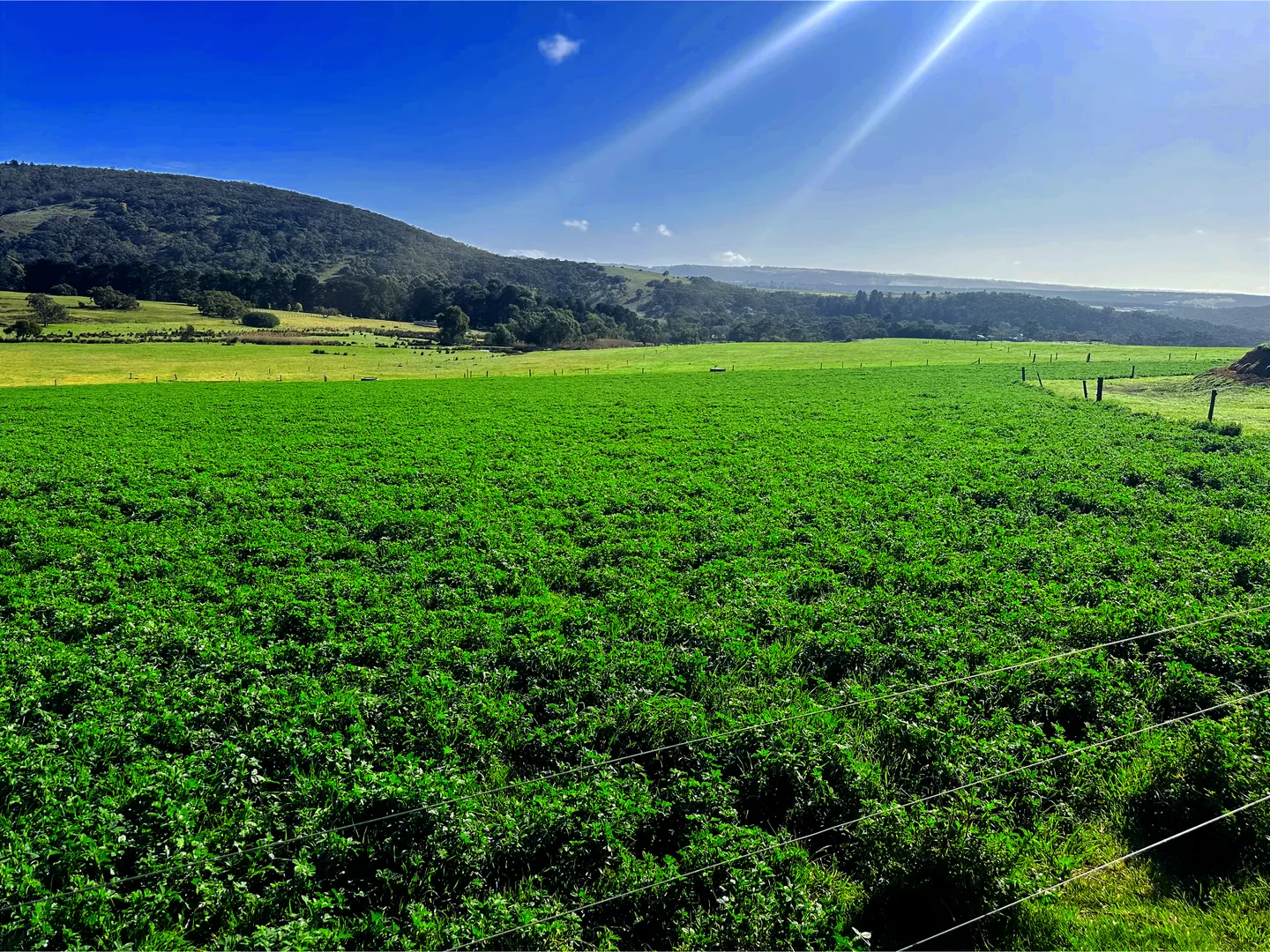 Additional image 28 of 700 Cleland Gully Road, Tooperang SA 5255