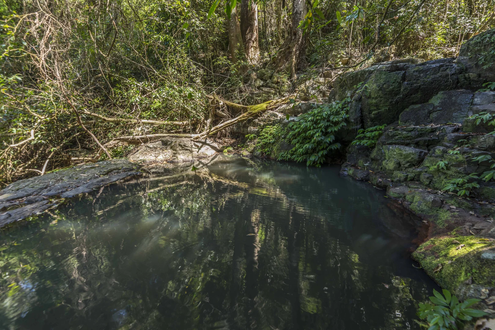 Additional image 27 of 76 Maso Road, Repentance Creek NSW 2480