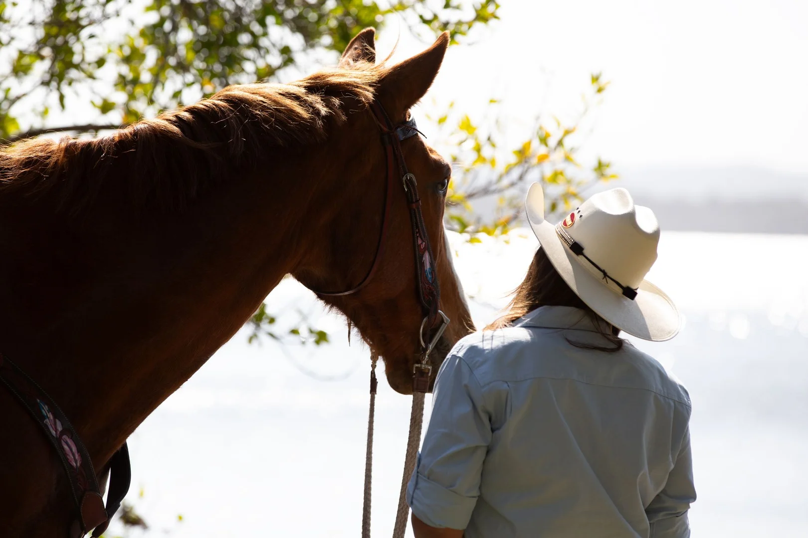 Additional image 32 of 155 Clarendon Road, Peregian Beach QLD 4573