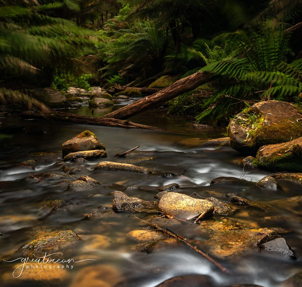 Additional image 10 of 54 Gardner Street, Beech Forest VIC 3237