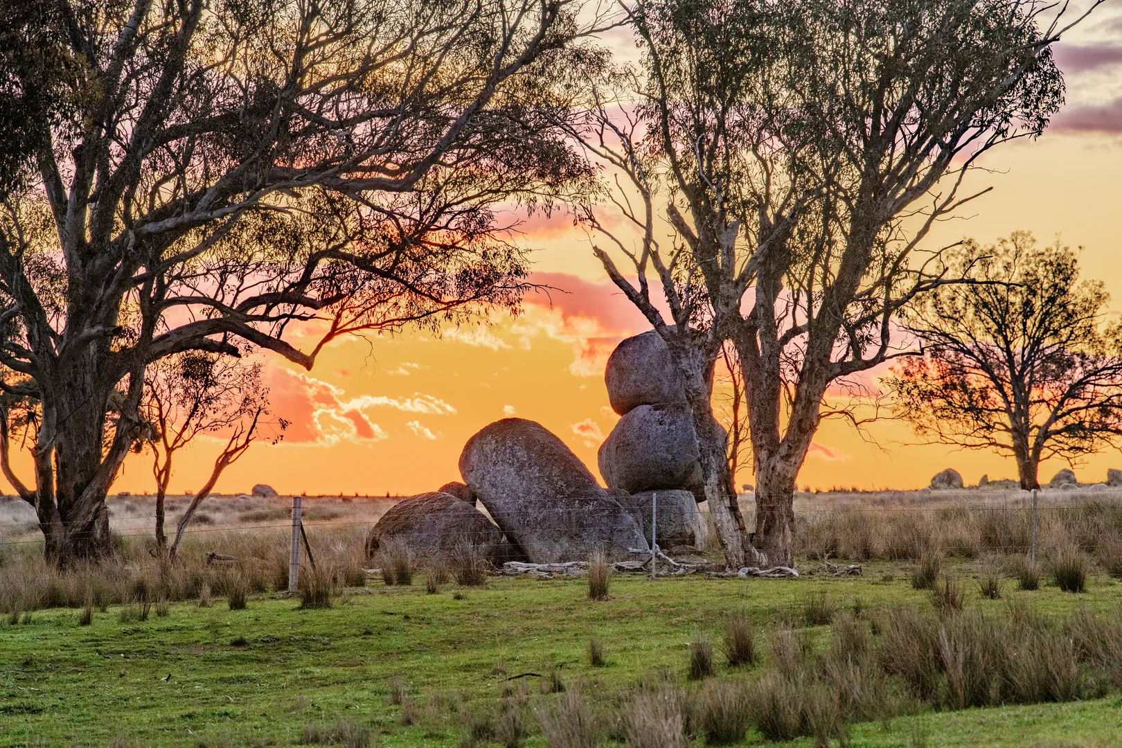 Additional image 30 of Mount Bodangora 5008 Goolma Road, Wellington NSW 2820