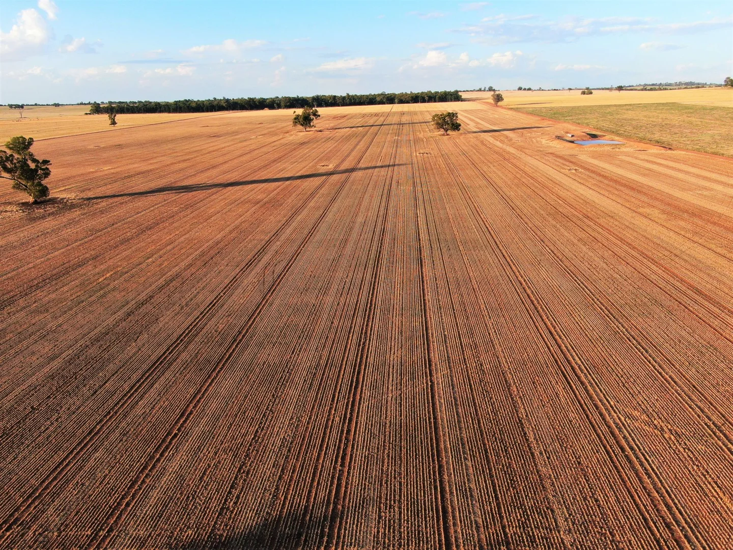 Additional image 10 of 2648 Old Narrandera Road, Currawarna NSW 2650