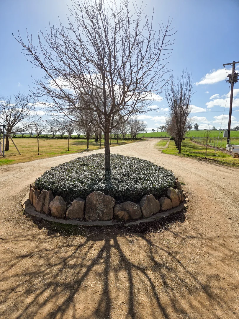 Additional image 36 of 349 Nangar Road, Canowindra NSW 2804