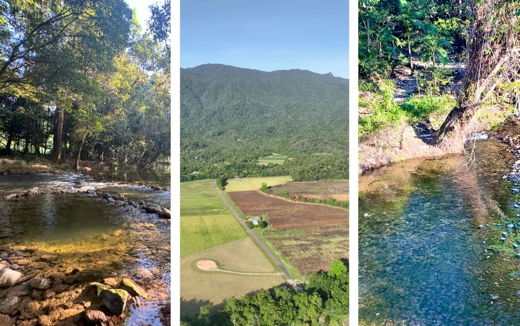 Additional image 7 of Lot 5 Whyanbeel Road, Whyanbeel, Mossman QLD 4873