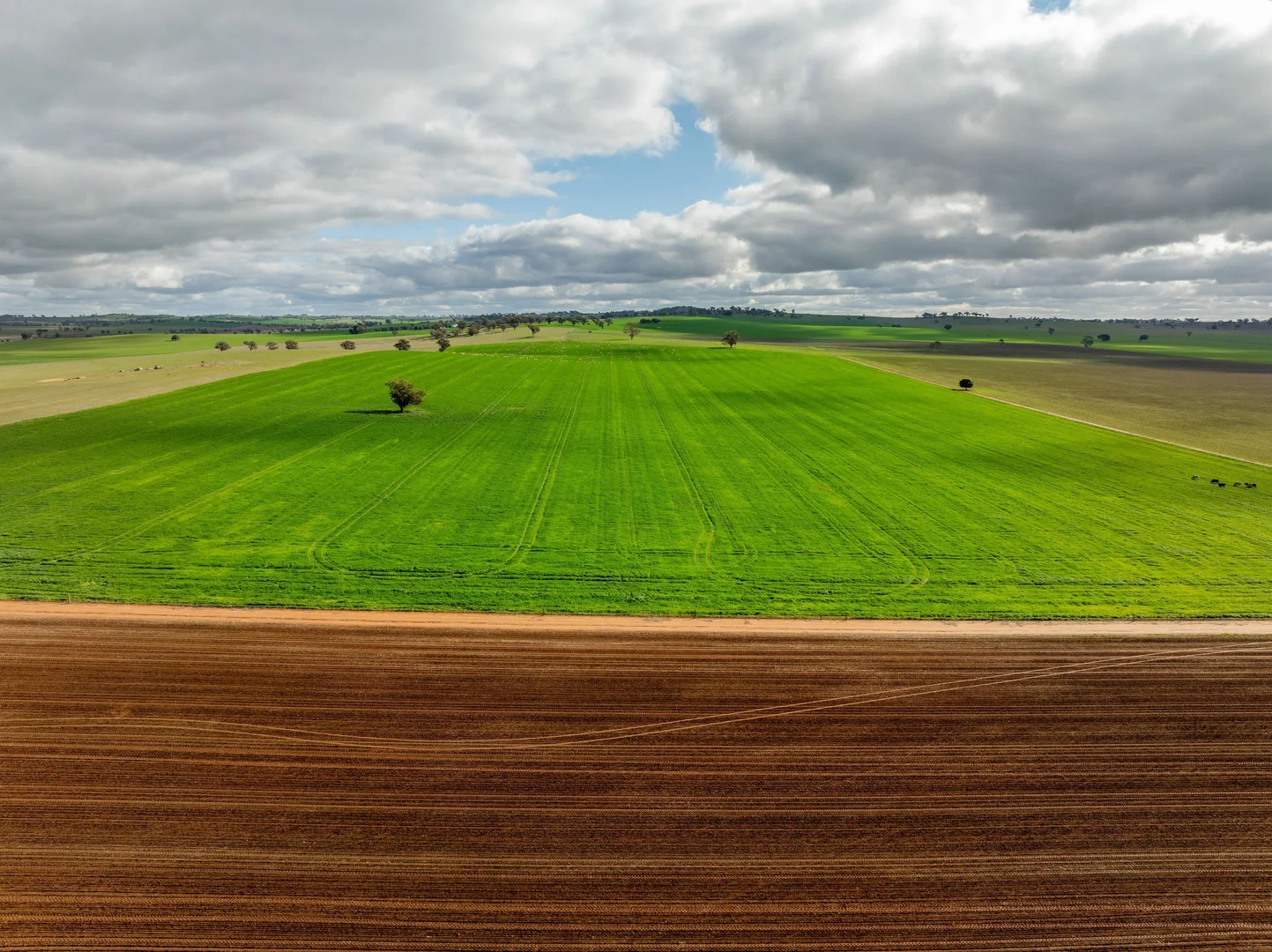 Additional image 13 of 79 Goldfields Way Old Junee Via, Wagga Wagga NSW 2650